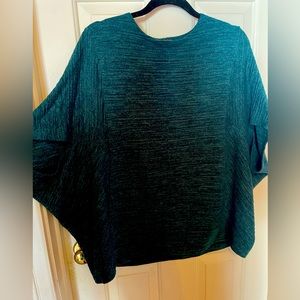 Clara Sun Woo Dolman Sleeve Knit Top